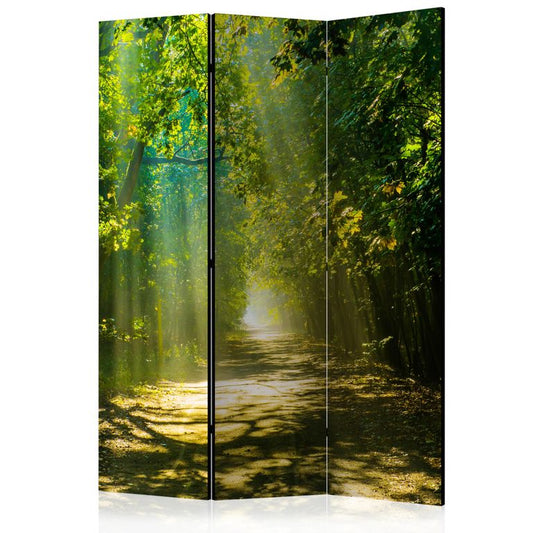 3-teiliges Paravent - Road in Sunlight [Room Dividers] 135x172 cm