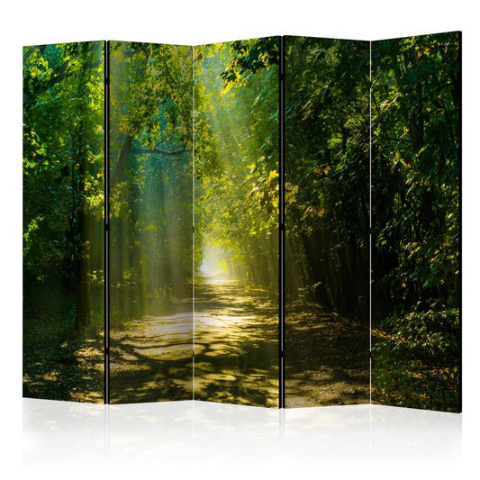 5-teiliges Paravent - Road in Sunlight II [Room Dividers] 225x172 cm