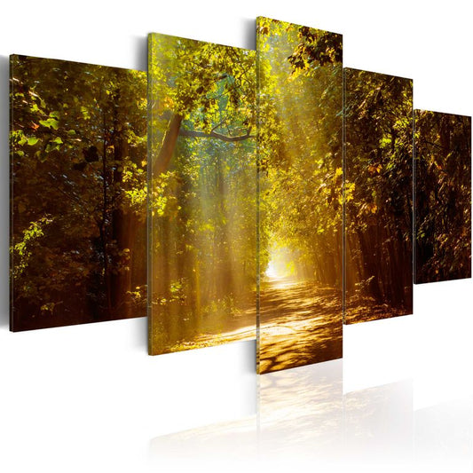 Wandbild - Forest in the Sunlight