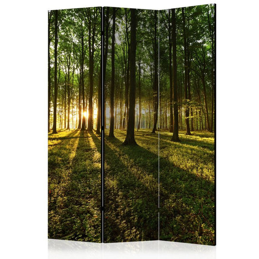 3-teiliges Paravent - Morning in the Forest [Room Dividers] 135x172 cm