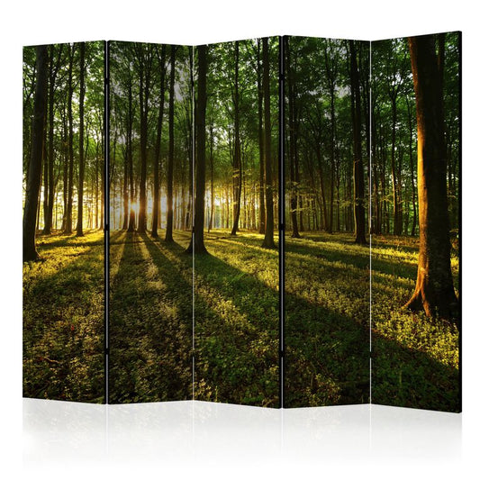 5-teiliges Paravent - Morning in the Forest II [Room Dividers] 225x172 cm