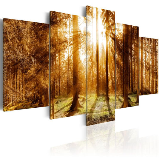 Wandbild - Forest Illumination