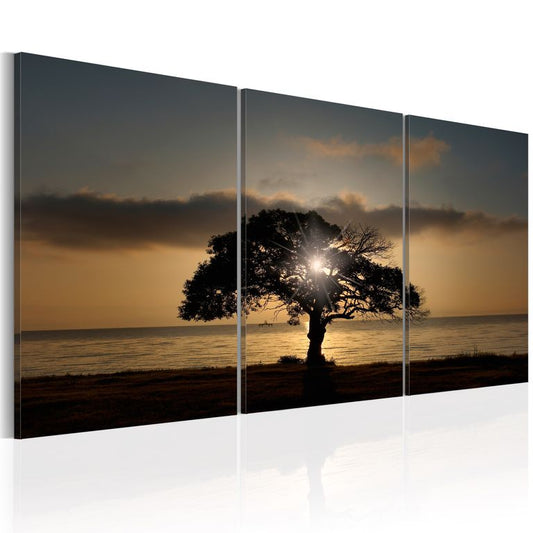 Wandbild - Extraordinary Nature 120x60 cm