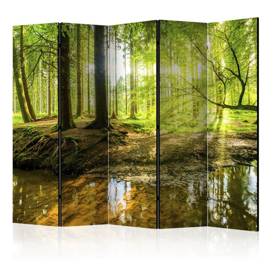 5-teiliges Paravent - Forest Lake II [Room Dividers] 225x172 cm