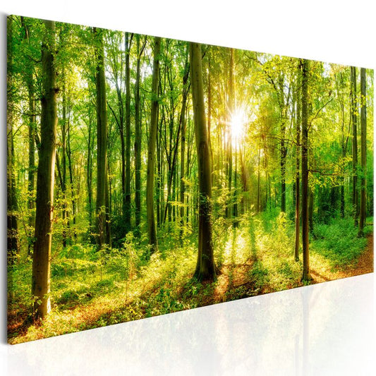 Wandbild - Green Magic