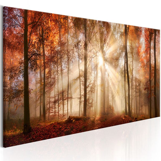 Wandbild - Autumnal Dawn