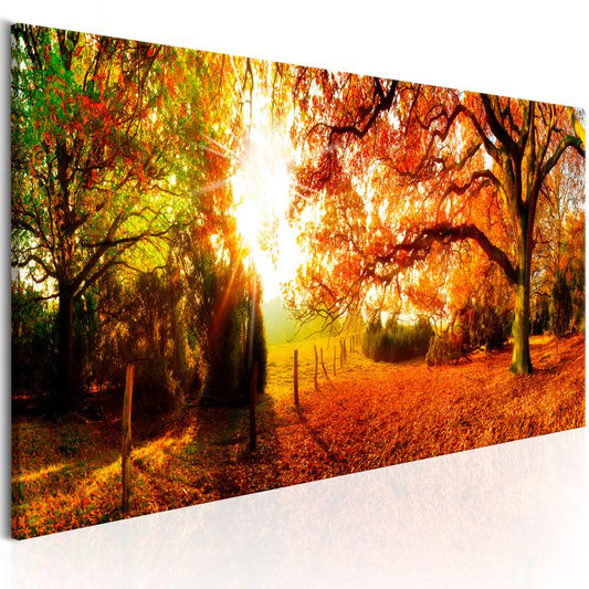 Wandbild - Magic of Autumn