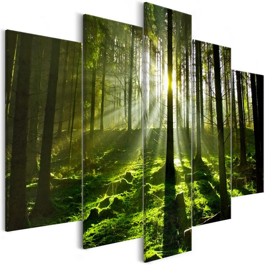 Wandbild - Peace of Mind (5 Parts) Wide 225x100 cm