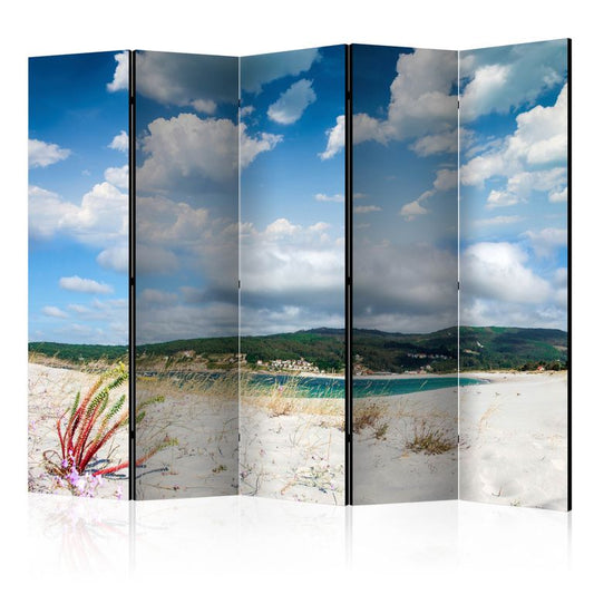 5-teiliges Paravent - Beach on the Costa da Morte II [Room Dividers] 225x172 cm