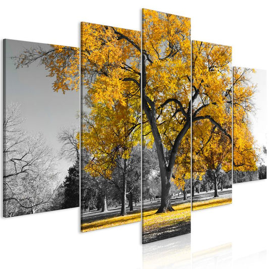 Wandbild - Autumn in the Park (5 Parts) Wide Gold