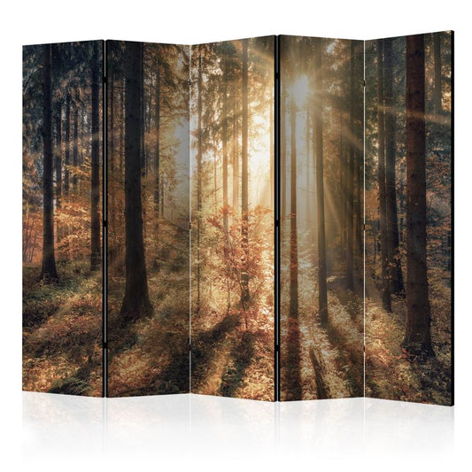 5-teiliges Paravent - Autumnal Forest II [Room Dividers]