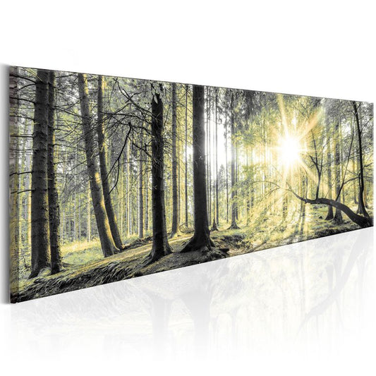 Wandbild - Morning Forest