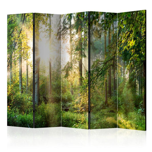 5-teiliges Paravent - Untamed Nature II [Room Dividers] 225x172 cm