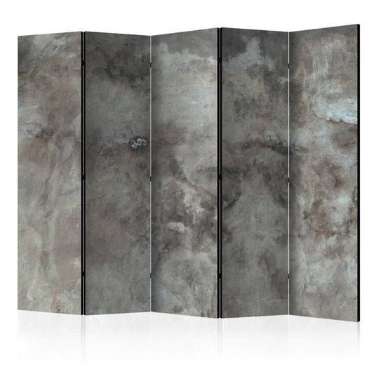 5-teiliges Paravent - Hail Cloud II [Room Dividers] 225x172 cm