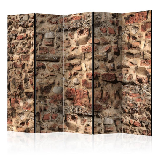 5-teiliges Paravent - Ancient Wall II [Room Dividers] 225x172 cm