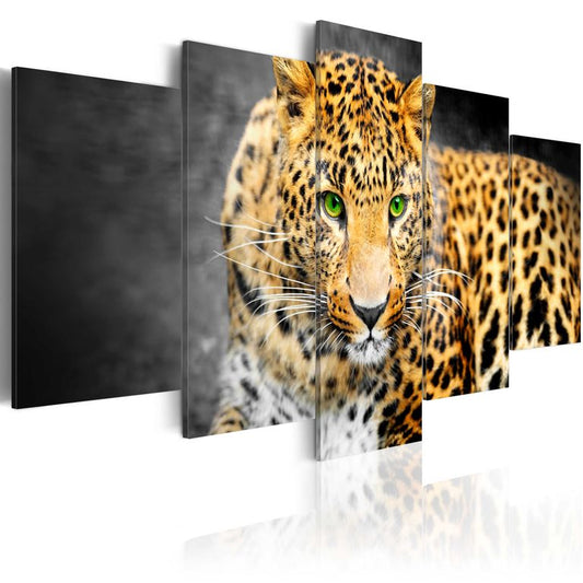 Wandbild - Green-eyed leopard