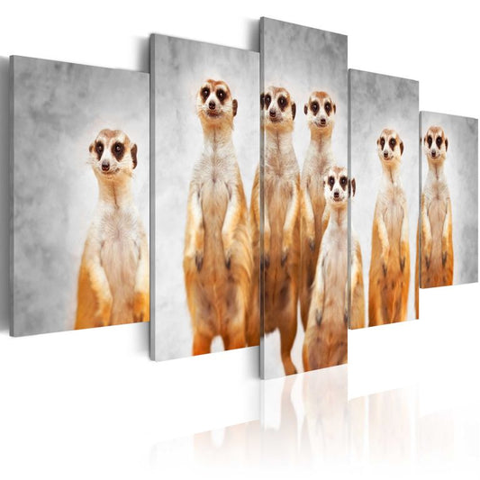 Wandbild - Meerkats