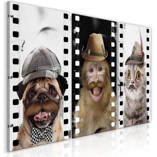 Wandbild - Funny Pets (Collection)