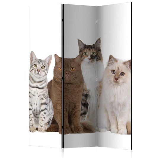 3-teiliges Paravent - Sweet Cats [Room Dividers] 135x172 cm