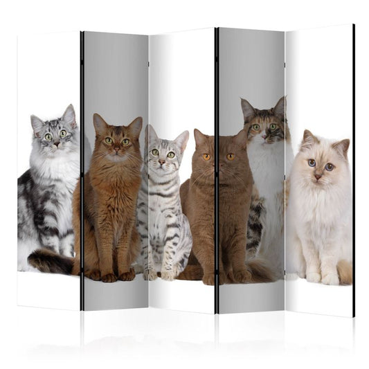 5-teiliges Paravent - Sweet Cats II [Room Dividers] 225x172 cm