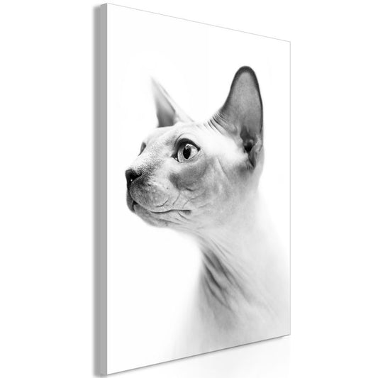 Wandbild - Hairless Cat (1 Part) Vertical