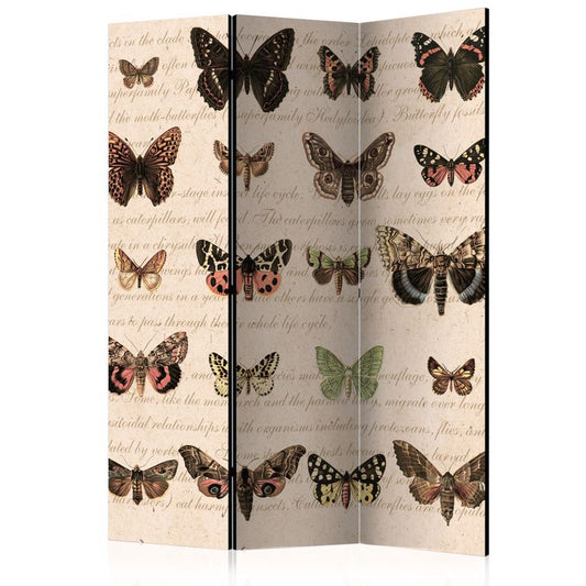 3-teiliges Paravent - Retro Style: Butterflies [Room Dividers] 135x172 cm