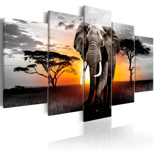 Wandbild - Elephant at Sunset