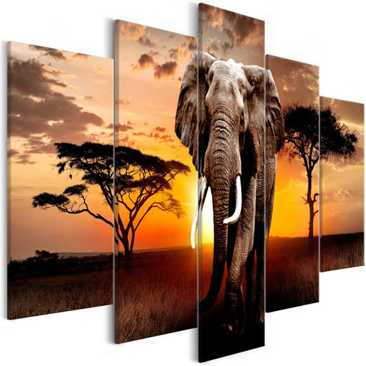 Wandbild - Wandering Elephant (5 Parts) Wide 225x100 cm