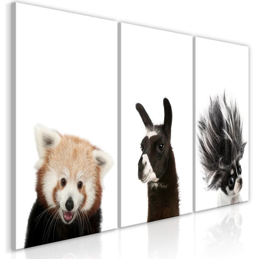 Wandbild - Friendly Animals (Collection)